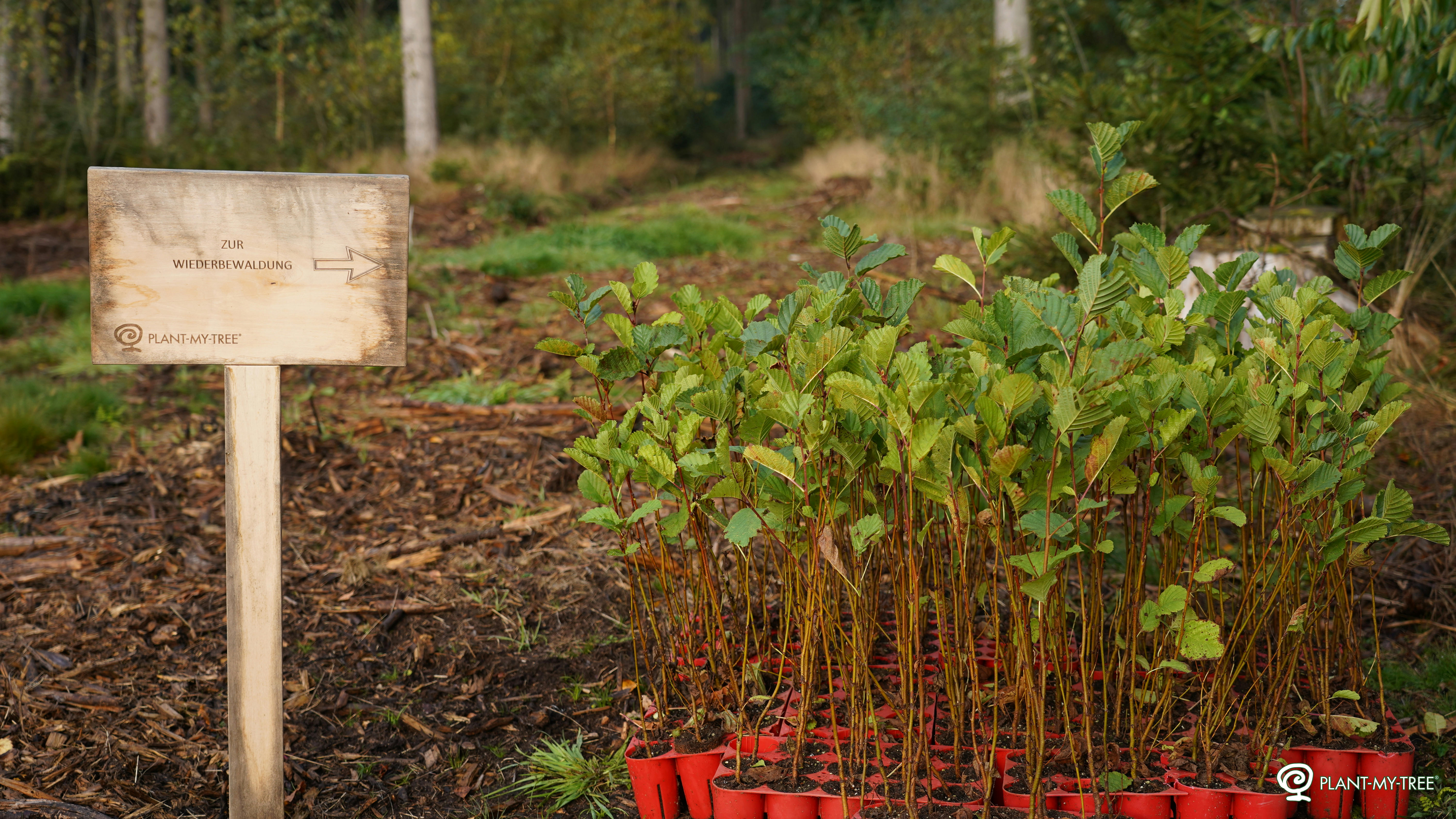 PLANT-MY-TREE® Partnerschaft